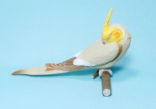 Shine G Tenori Inko Sleep Good