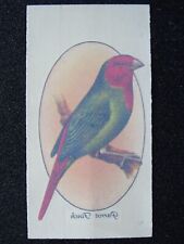 PARROT FINCH Aviary & Cage Birds TRANSFERS by John Player 1933
