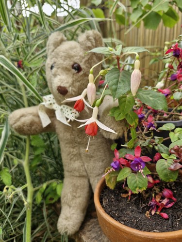 Sweet vintage bear likely - sweet,