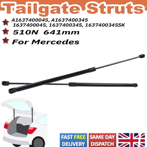 Tailgate boot gas struts - tailgate,