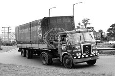 PHOTO MAYS MOTORS, ELSTEAD