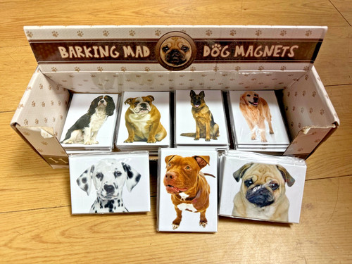 Dog fridge magnet - fridge,