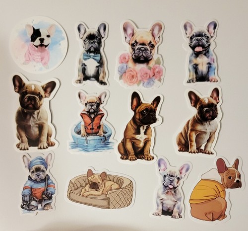 French bulldog puppy - bulldog,