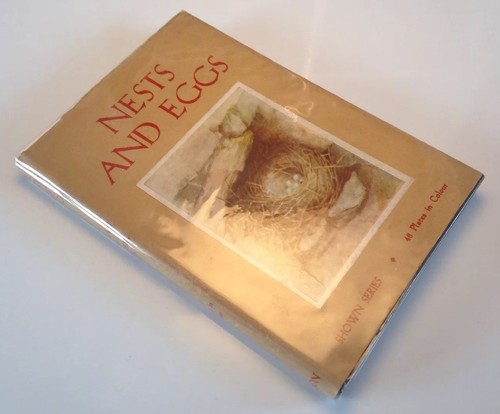 Nests and eggs colour - 48,