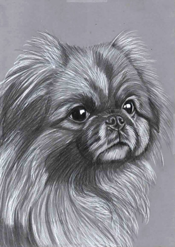 Original pencil drawing - pencil,