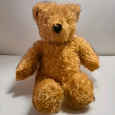 Teddy Bear Old and Well Loved