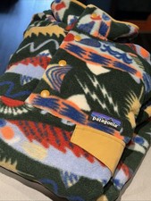 Patagonia Salmon Energy