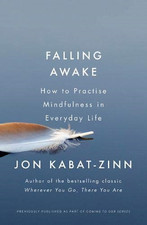 Falling Awake: How to Practice
