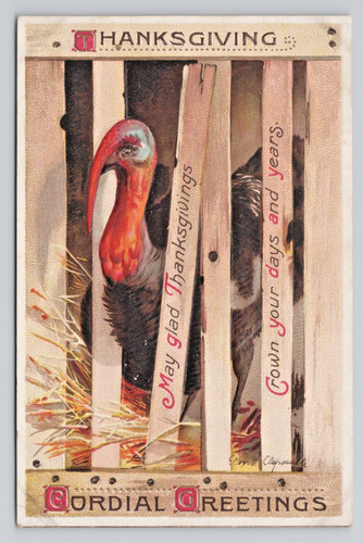 Thanksgiving turkey crate - thanksgiving,