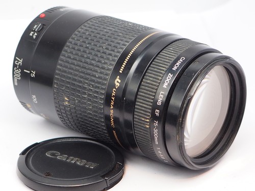 Canon eos 300mm 4 5 - ef, 75-300mm