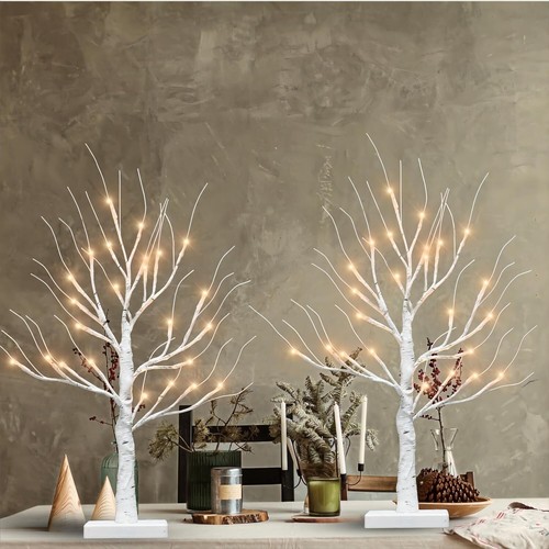 Pack lighted birch twig - twig, tree