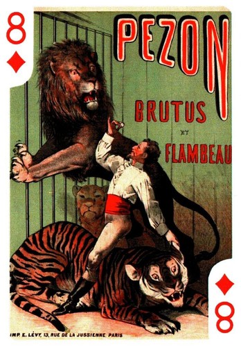 Pezon brutus flambeau - flambeau,, circus