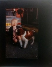 Original 35mm slide photograph young girl with dog old car 1960s photo