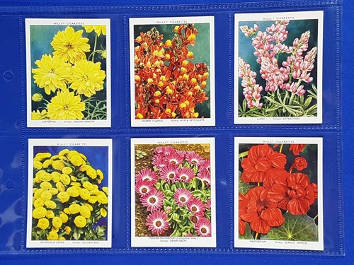 Will cigarette cards garden - cards,