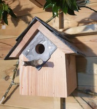 Birthday Christmas Gift Bird