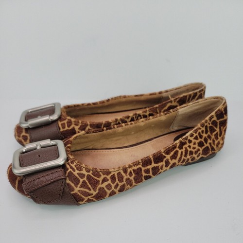 Fossil buckle brown - buckle,