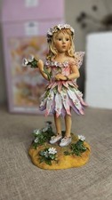 Daisy Faerie Leonardo