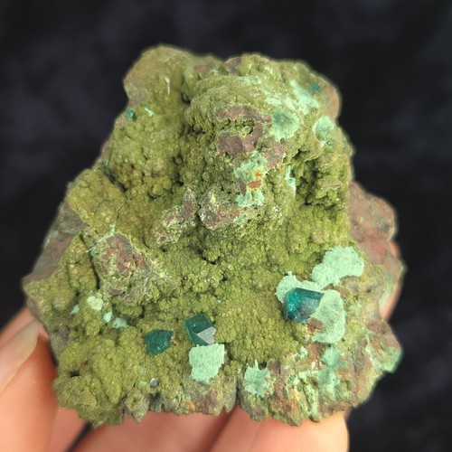 Dioptase mottramite - mottramite, ~