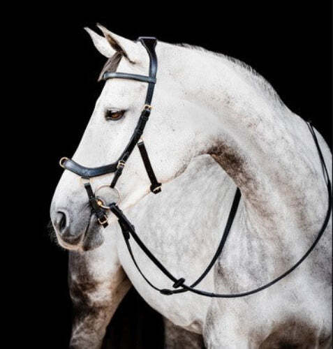 Horseware micklem - horseware,