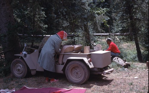 Sl37 slide 1950 - slide, dune