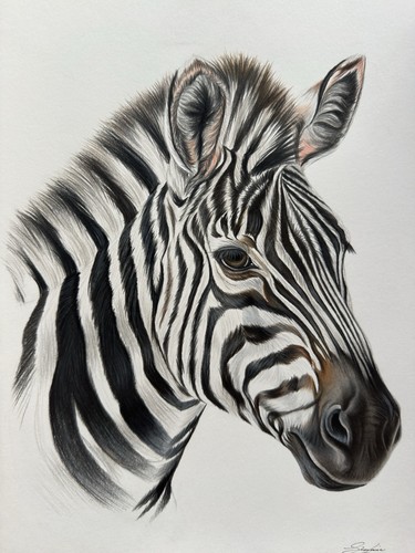 Zebra head original - zebra,