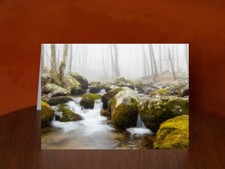 Hughes River Near Corbin Cabin