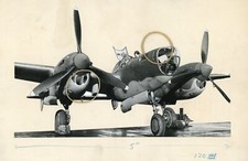 LOCKHEED P38 LIGHTNING - Original Aircraft photo