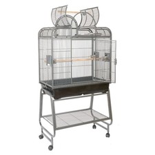 Rainforest Cages Santa Fe Top