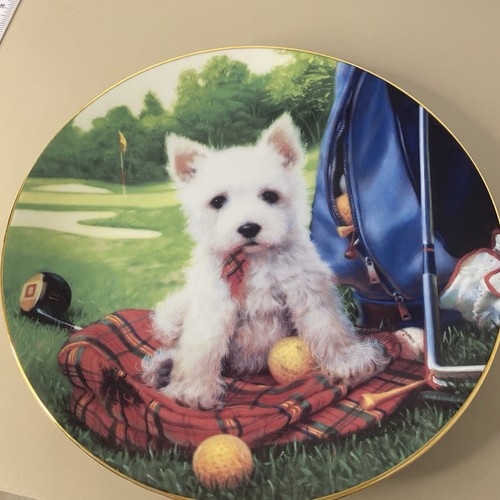 Jim lamb collector - lamb, hole