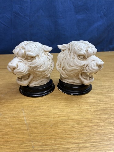 Vintage white tiger - white,