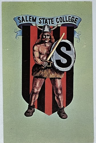 Salem state college viking - state,