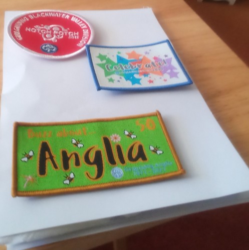 Girlguiding badges