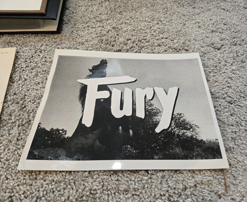 Fury horse show frame - tv,