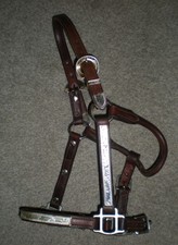 NEW Weanling Leather Silver Show Halter  Western Horse Tack