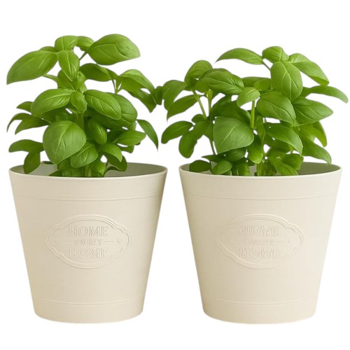 Large 26cm round plant pot - plant,