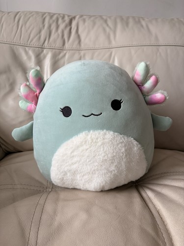 Axolotl squishmallow chasmen - ,