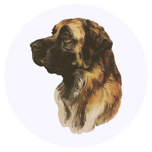 Leonberger dog portrait - dog, portrait'