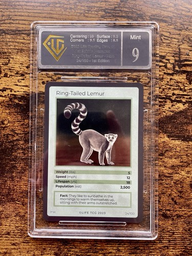 Life tcg 2023 - holo, ring