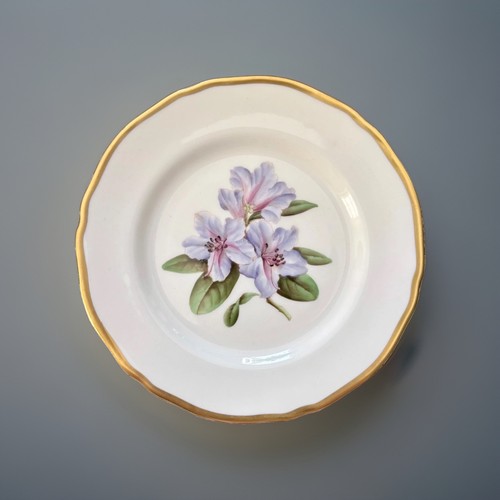 Spode praecox bone china - bone,