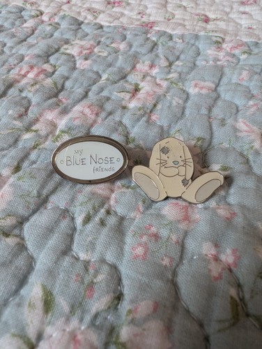 Blue nose friends pin - friends,