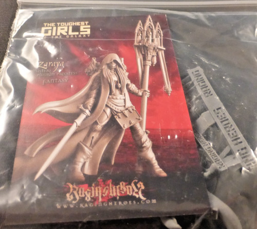 Raging heroes female sisters - female,