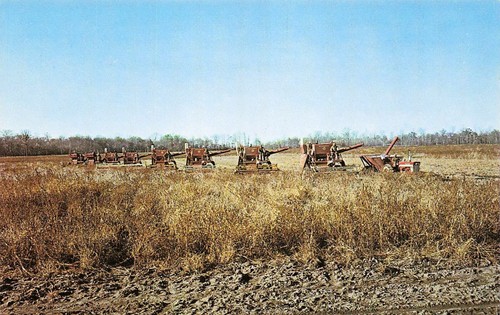 Massey harris soybean - massey-harris,