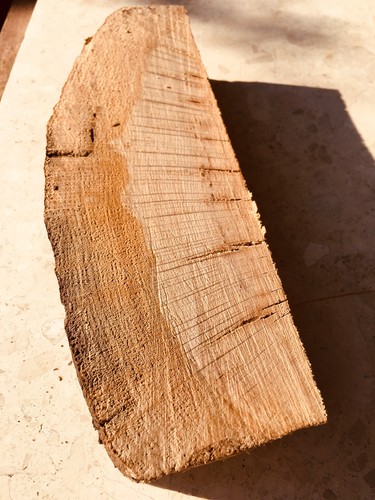 English oak spalted live - english, waney