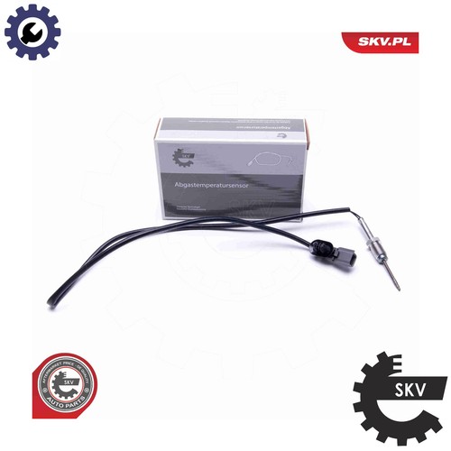 Sensor exhaust gas - gas, temperature