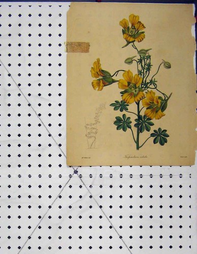 Original old antique - original,