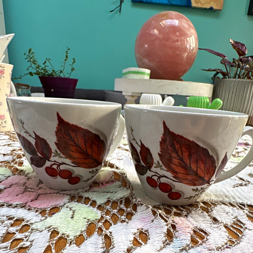 Alfred meakin ceramic mugs set - alfred,