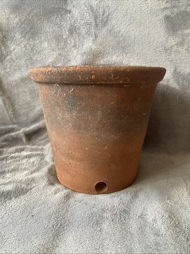 Really vintage plant - plant, pot