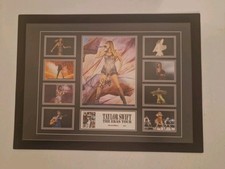 Taylor Swift reproduction