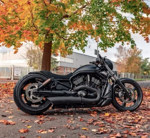 1250cc night rod harley - night,