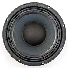 Gallien Krueger Paragon